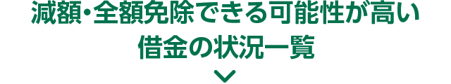 減額・全額免除できる可能性が高い借金の状況一覧